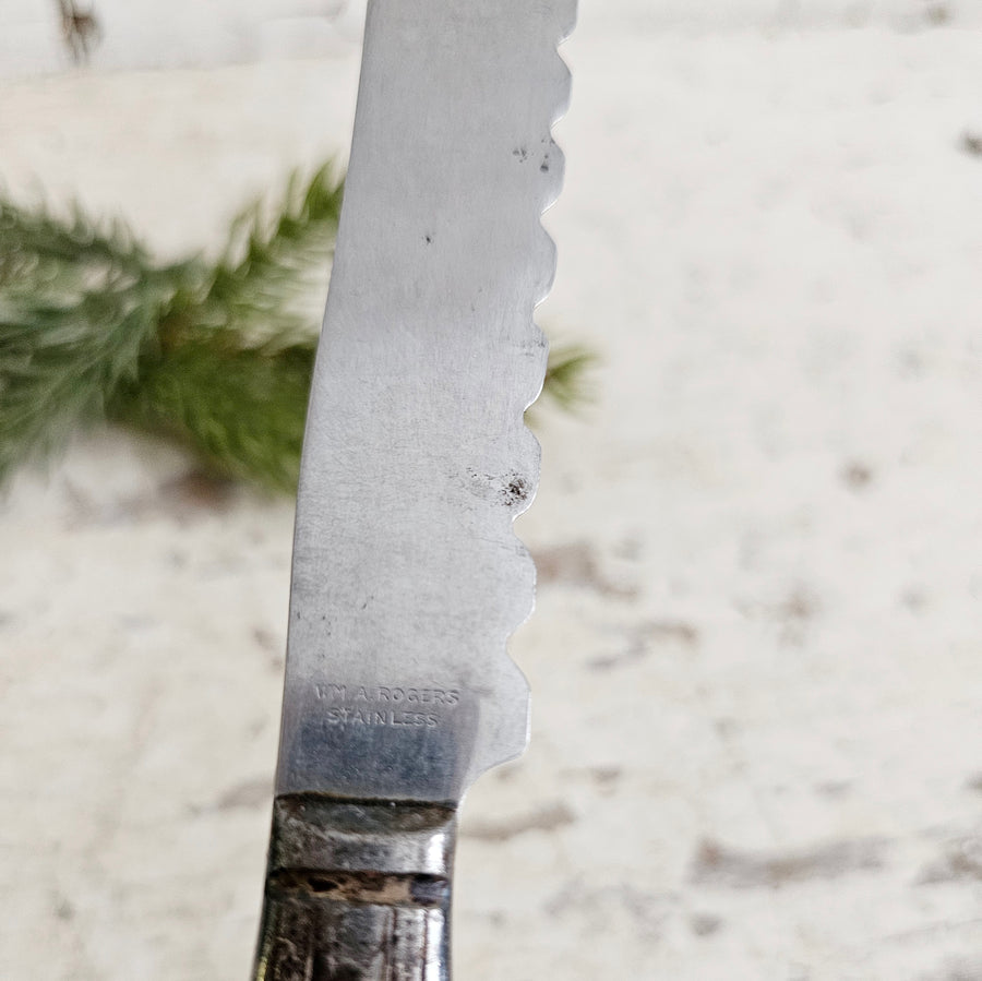 Vintage Silverplate and Stainless Butter Knife