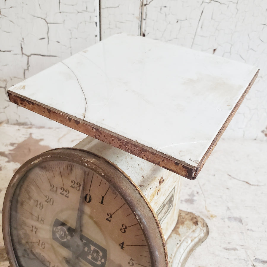 Antique White Metal Scale, Hobby Lobby