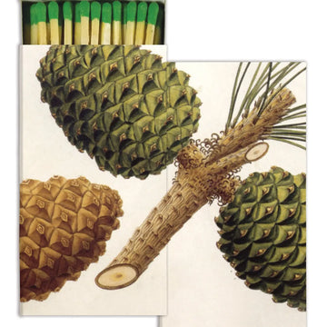 Pinecones Matchbox